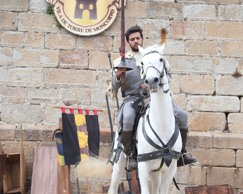 Cavaleiros de Ribadouro Homens de Armas