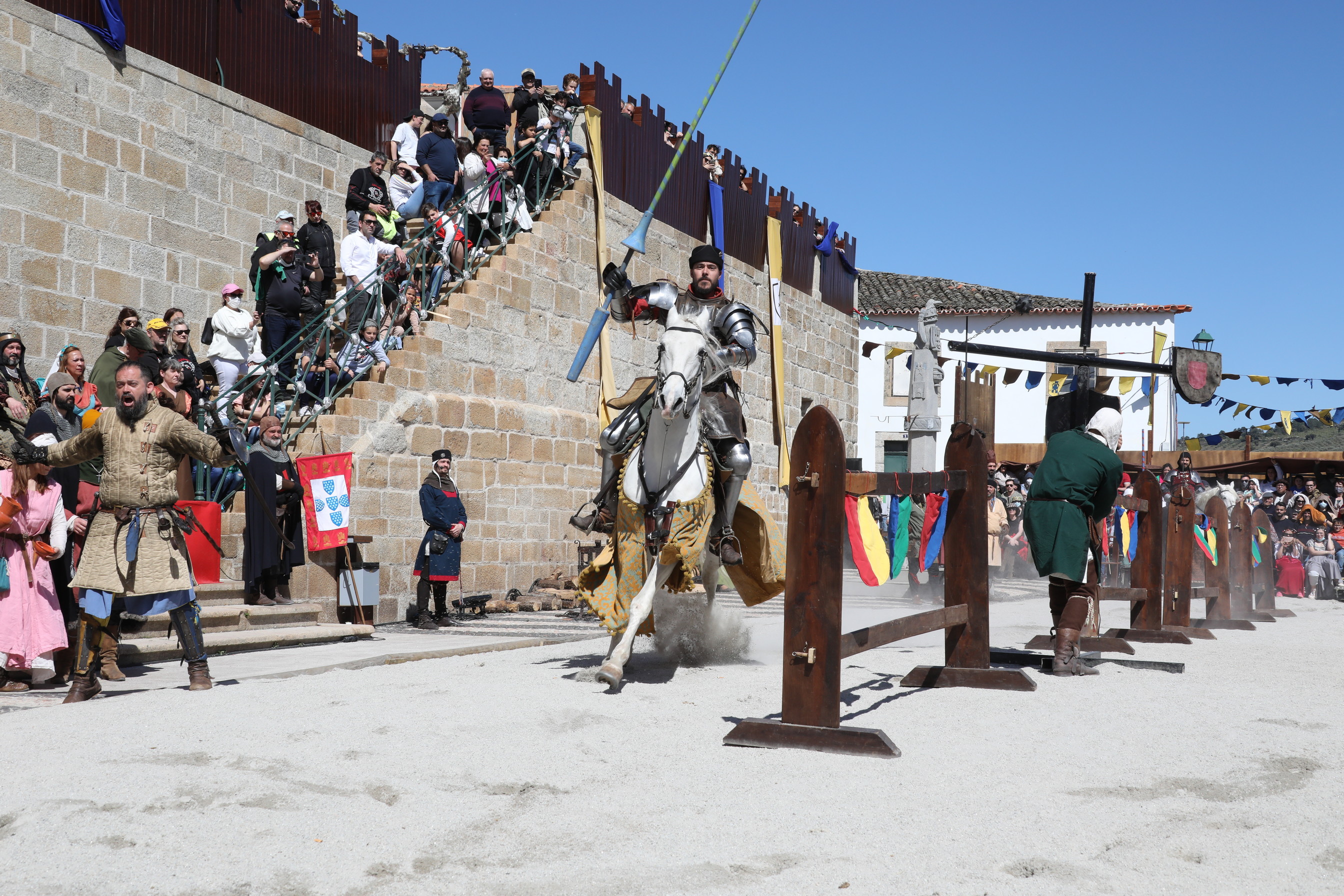 Cavaleiros de Ribadouro e Espada Lusitana