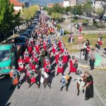 DJI 0334