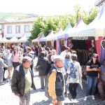 IMG 9534
